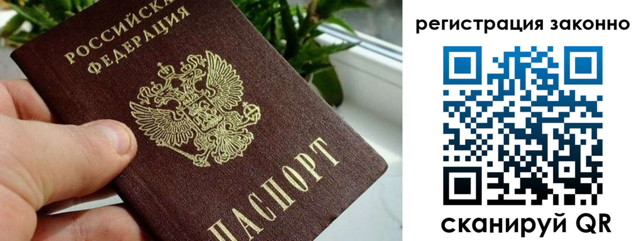 прописка гарантия в Чечне